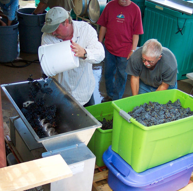 091913-cal-cwinefests-p2